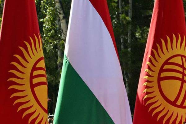 Кыргызские компании примут участие в бизнес-форуме в Венгрии