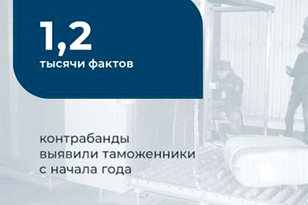 Таможенники Кыргызстана с начала года 2023 года выявили 1200 фактов контрабанды