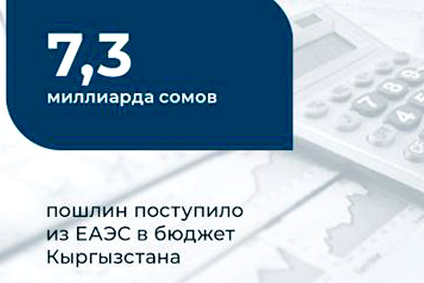 7,3 миллиарда сомов пошлин поступило из ЕАЭС в бюджет Кыргызстана